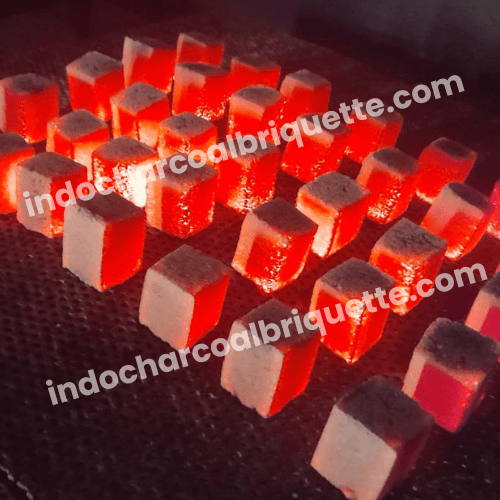 Coconut Shell Charcoal Briquette