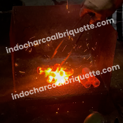 Coconut shell charcoal briquette 2
