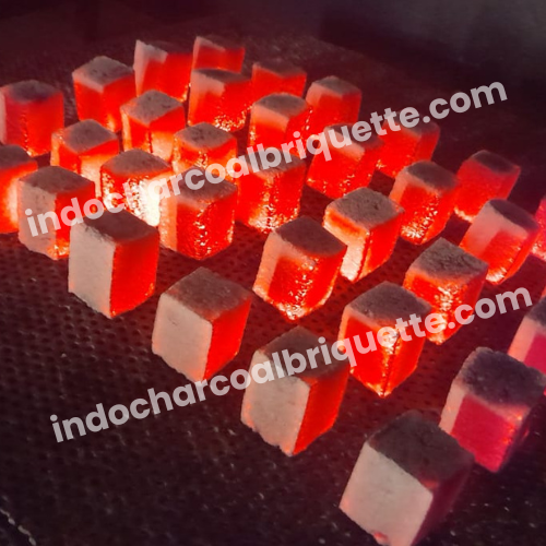 Coconut shell charcoal briquette 1